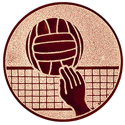 Emblem Volleyball  (50mm Bronze)