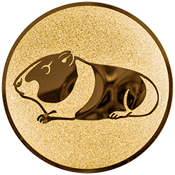 Emblem Meerschweinchen (25mm Gold)